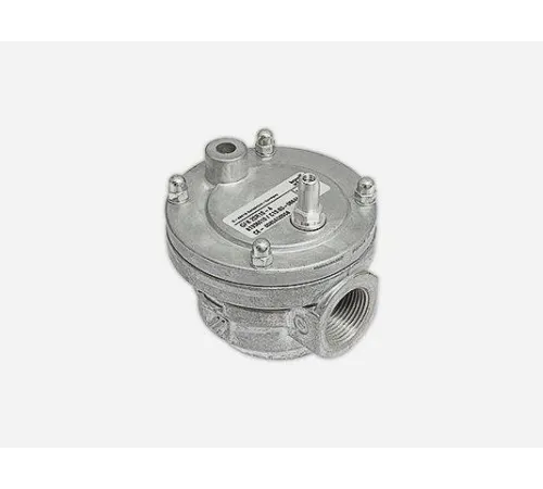 Газовый фильтр Kromschroder GFK 20R10-4, 13013075